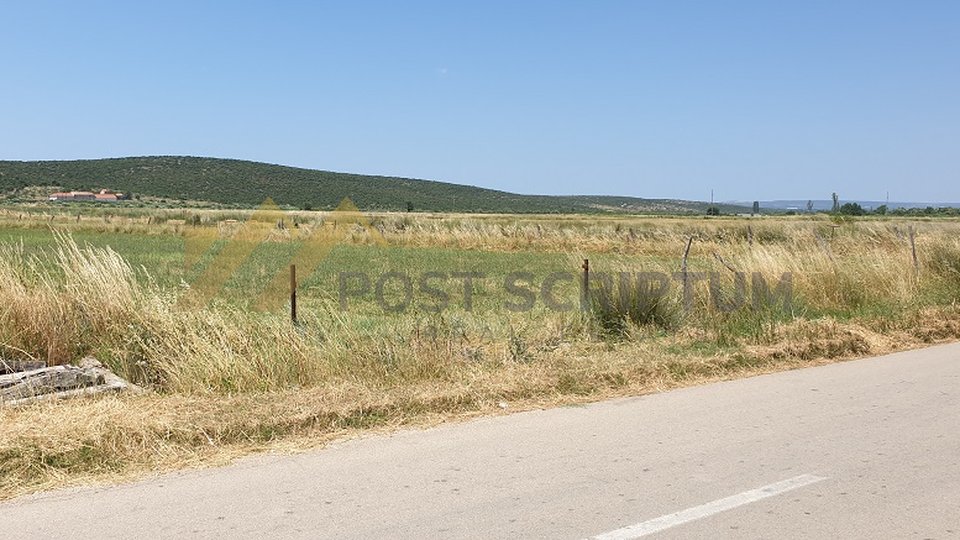 **AGRICULTURAL LAND WITH ACCESS FROM THE MAIN ROAD**